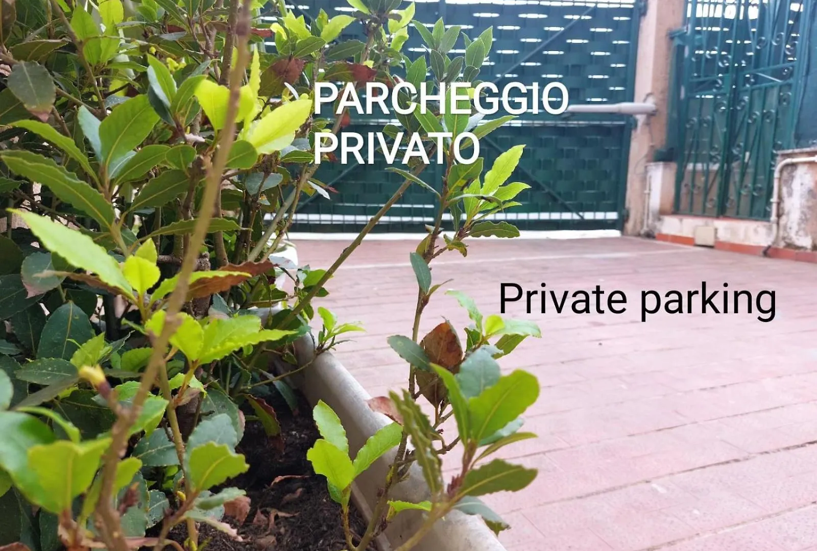 Art And Garden Apartment Palermo 0*,  Italy